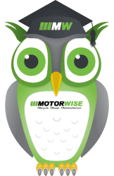 Motorwise Owl